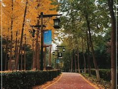 -西安汉城湖景区