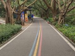 -广东茂名森林公园