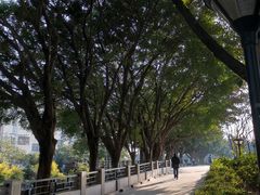 -黄埔古港