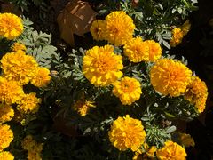 -欢乐空间KTV(奥山世纪城店)