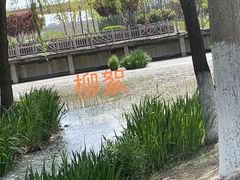 -西安浐灞国家湿地公园