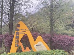 -广州市石门国家森林公园