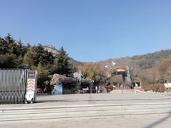 -石老人观光园