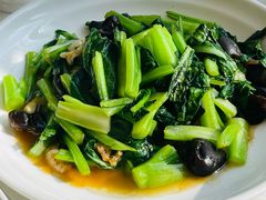 菜心炒木耳-天天渔港(杏林街店)