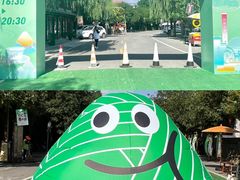 -茯茶镇