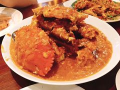 -Cabe Ijo