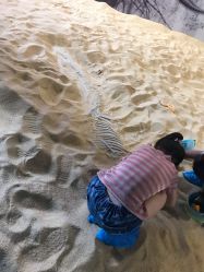 -恐龙探索乐园(磁器口店)