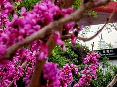 -海棠花溪(元大都城垣遗址公园)