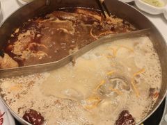 -洪氏嗨捞·广东猪肚鸡·椰子鸡火锅(西咸万象城店)