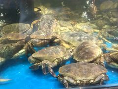 -盒马鲜生(宝地店)