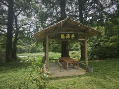 -五泄景区