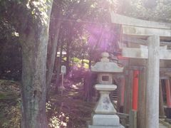 -野宫神社