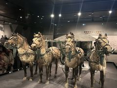 -秦始皇帝陵博物院-丽山园