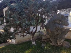 -南通濠河风景名胜区