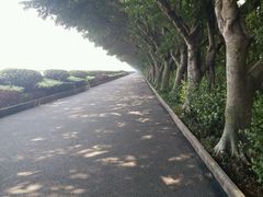 -大湾区中央湿地公园
