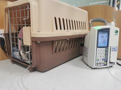-联合动物医院(光谷诊疗中心)