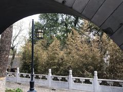 -北京鹫峰国家森林公园
