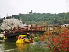 -苏州上方山国家森林公园