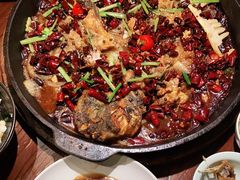 -老板恋上鱼(荣盛广场店)