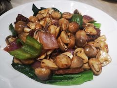-张记旺角食街(动物园店)