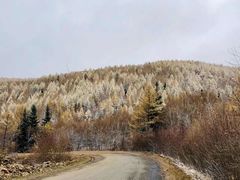 -塞罕坝国家级自然保护区