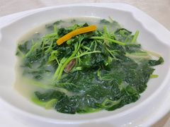 上汤时蔬-北海渔村酒楼·粤菜海鲜点心(新华店)