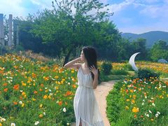 -名花谷生态庄园