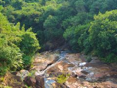 -广州白江湖森林公园