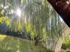 -皇家御河游(紫御湾码头)