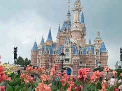 -上海迪士尼度假区