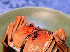 -新光酒家·河豚·海鲜·蟹料理(浦东店)