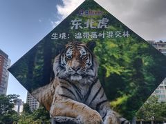 -深圳野生动物园