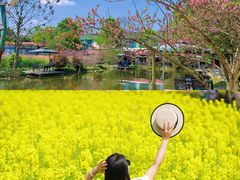 -洪湖家庭农场·团建·露营·会议