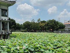 -荔湾湖公园