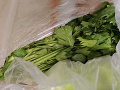 -上海都市菜园