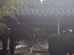 -洛阳古墓博物馆