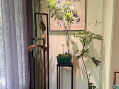 -王府茶楼茶宴·创意菜(大观园总店)