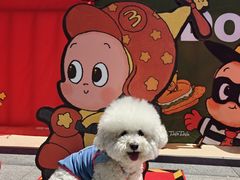 -天津意大利风情旅游区