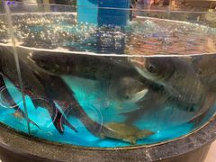 -魏铭鱼头捞饭(晋阳路店)