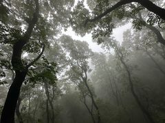 -狼牙山风景区