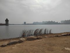 -九龙湖公园