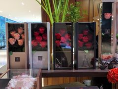 -北京望京凯悦酒店The Lounge大堂酒廊