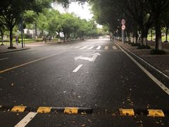 -西南政法大学(渝北校区)