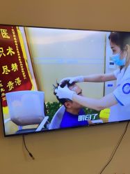 -碧莲盛·不剃发植发