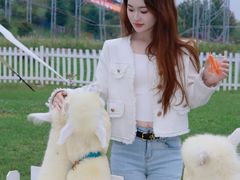 -枫林花海