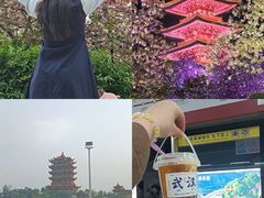 -武汉大学-樱园