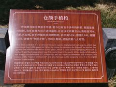 -仓颉庙