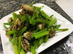 芹菜拌扇贝-宏源鑫海鲜餐厅·海景婚宴厅(石老人店)