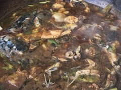 -姥家大锅台水库渔家