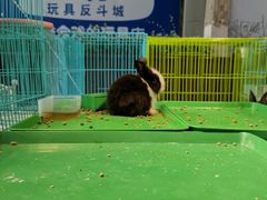 -丽达购物中心(崂山店)